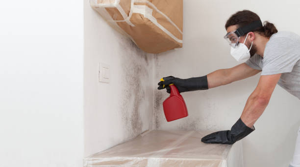 Professional Bathroom Mold Removal technician working in Newton, TX