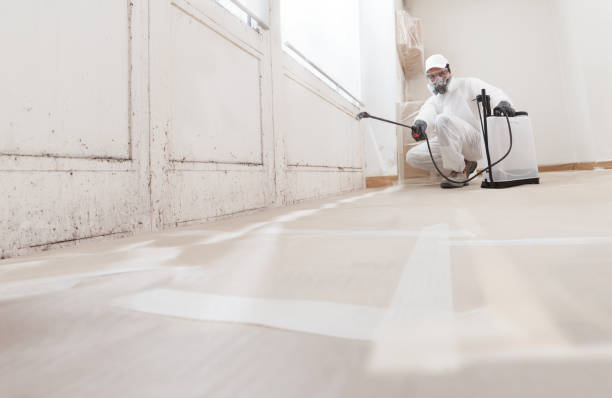 24/7 Emergency Bathroom Mold Removal experts in Newton, TX